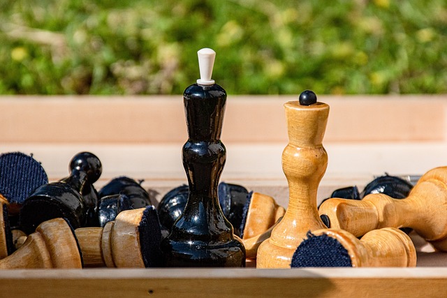 的顺利出行 的顺利出行