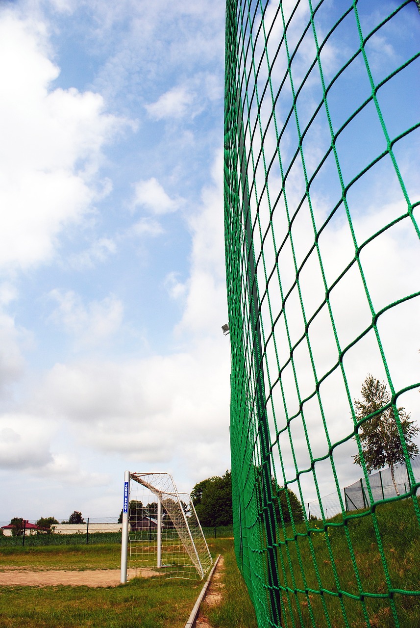 为球队赢得 为球队赢得