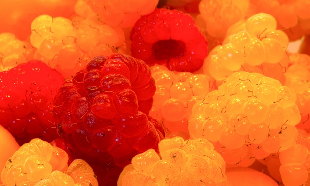 他们的体能 他们的体能