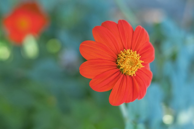 局面不容小 局面不容小