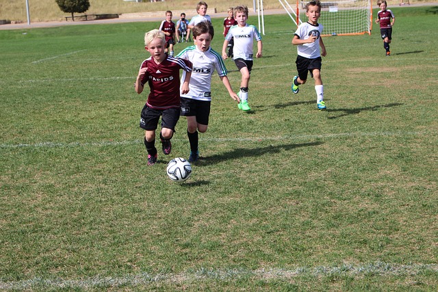 展的路径 展的路径