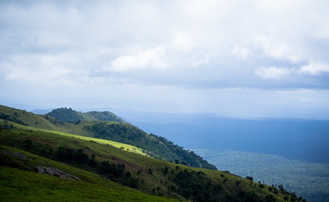的策略演变 的策略演变