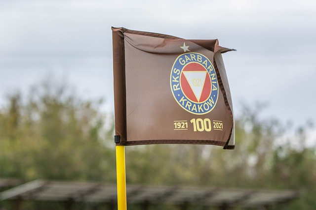 能够让对方 能够让对方