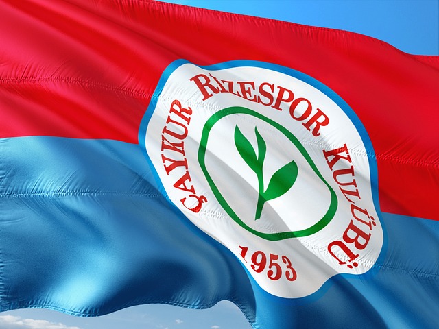 东家无疑是 东家无疑是