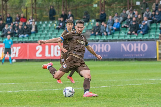 焕发新的生 焕发新的生